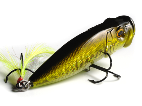 もっと釣れる！ポッパーの使い方とおすすめルアー