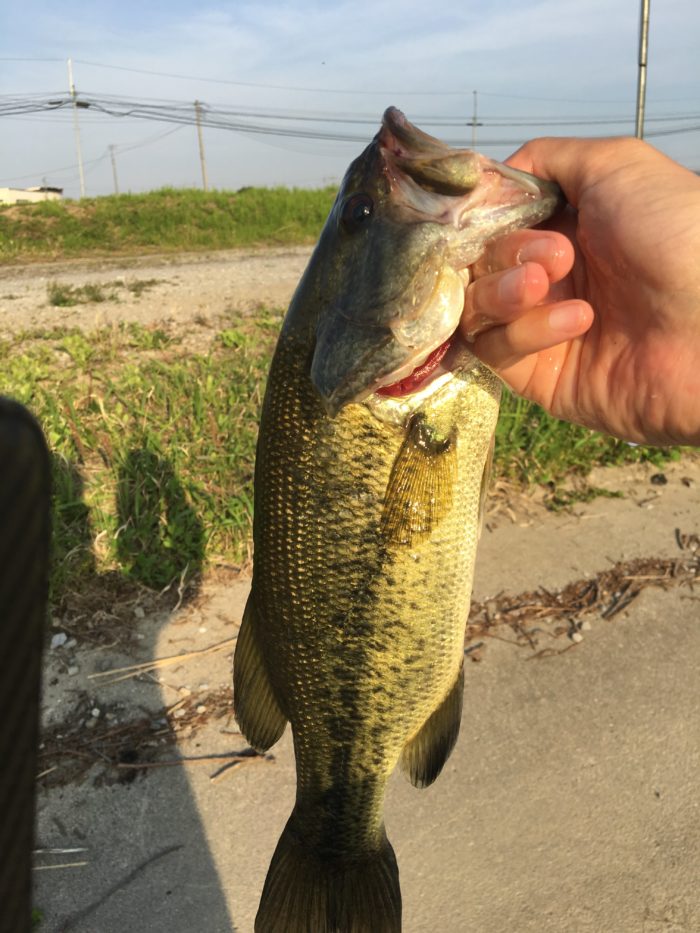 【インプレ/レビュー】シマノ 17エクスプライド 164L-BFS/2